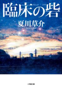 臨床の砦の表紙