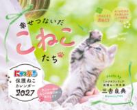 にゃっぷる 保護ねこカレンダー2027 卓上版「幸せつないだこねこたち」/ねこの保護団体への寄付つきの表紙