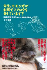 先生、モモンガがお尻でフクロウを脅しています？の表紙